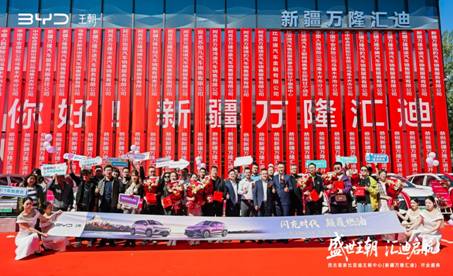 西北首家比亚迪王朝中心 新疆万隆汇迪盛大开业